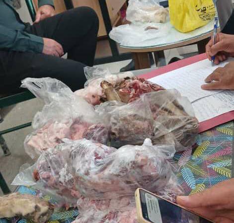 کشف محموله سنگین شکار غیرمجاز از دنا