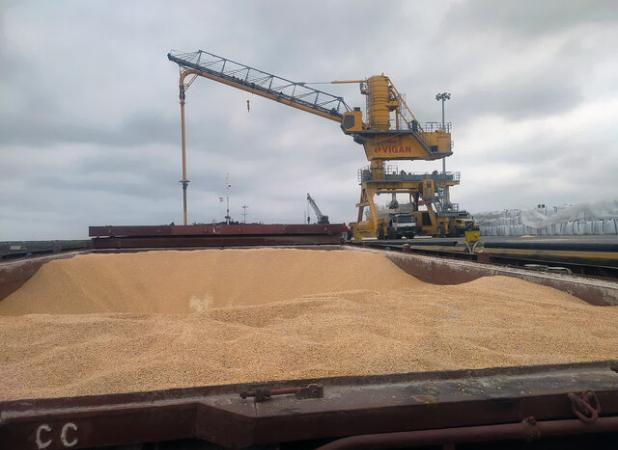 مدیرکل دامپزشکی مازندران: نهاده‌های دامی بدون هیچ خللی از ۳ بندر استان ترخیص شد