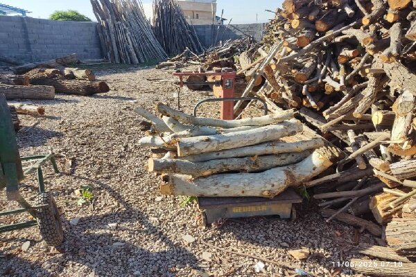 دستگیری عامل قطع درختان چنار پارک جنگلی یاسوج