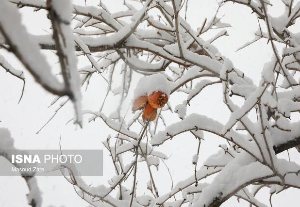 آخرین وضعیت فعالیت سامانه بارشی در استان یزد