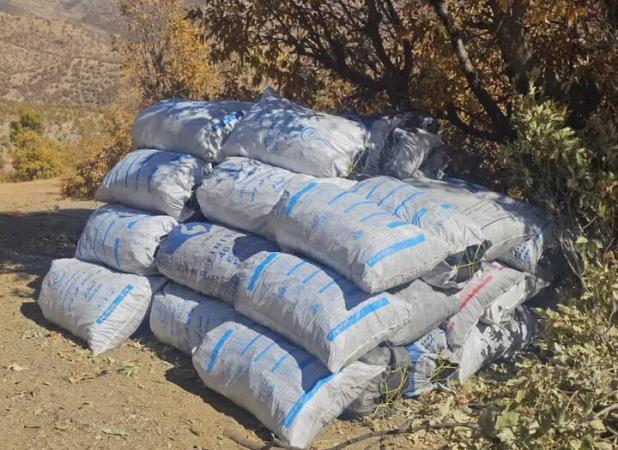 کشف و ضبط کوره زغال‌گیری غیرمجاز در اراضی جنگلی کردستان