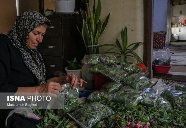 زنان؛ قهرمانان تغییر در نبض جامعه
