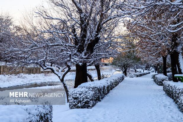 هشدار نارنجی در استان سمنان؛ هم‌نشینی برف، کولاک و یخ‌بندان