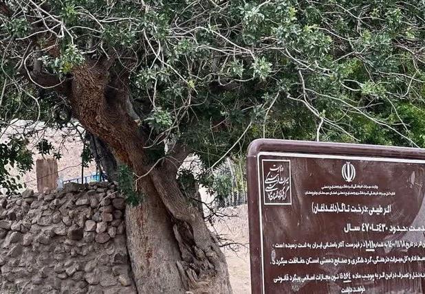 نصب تابلوهای راهنما به‌منظور معرفی محوطه‌های تاریخی در میرجاوه