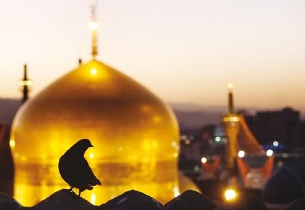 ویژه‌برنامه‌های عزاداری سالروز شهادت حضرت زهرا(س) در حرم مطهر رضوی