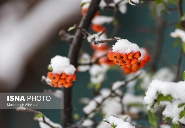 احتمال بارش خفیف برف در البرز