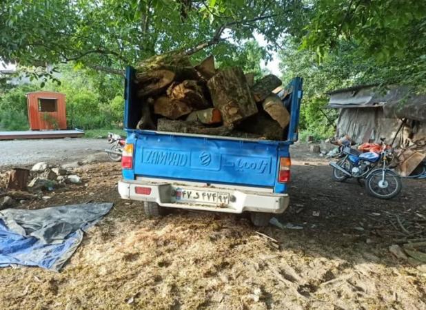 کشف ۸ استر چوب قاچاق جنگلی در نشتارود