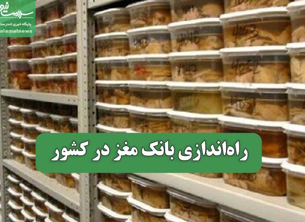 راه‌اندازی بانک مغز در کشور