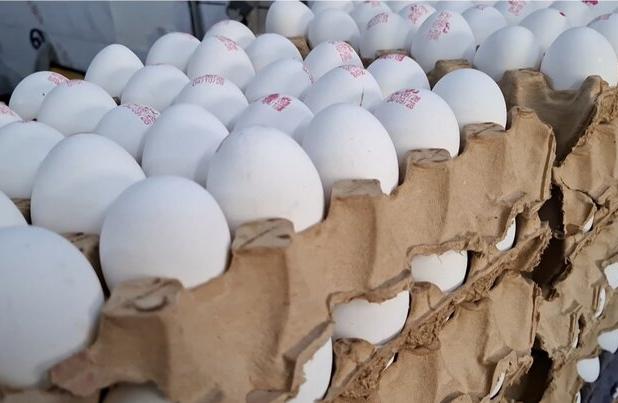 «تخم‌مرغ» چگونه قدرت خرید مردم را بلعید؟