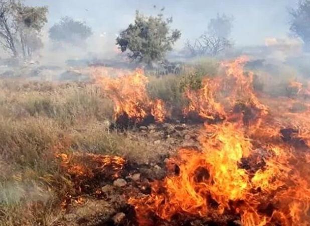آتش‌سوزی در مراتع روستای چهارراه سمیرم مهار شد