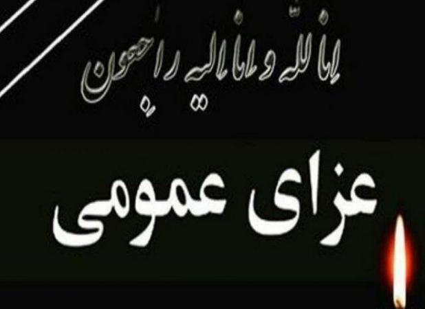استاندار کردستان در سوگ جهادگران محیط زیست ۲ روز عزای عمومی اعلام کرد
