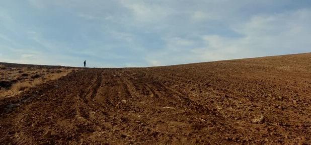 رئیس منابع طبیعی و آبخیزداری ملایر: متصرفان اراضی ملی پلاک یونس به مراجع قضایی معرفی می‌شوند