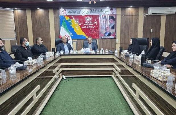 پیگیری جدی برای اشتغال توان‌یابان در گناوه