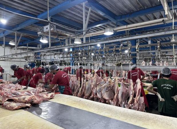 ترخیص ۵۰۰۰ تُن فرآورده دامی از مرز میرجاوه سیستان و بلوچستان