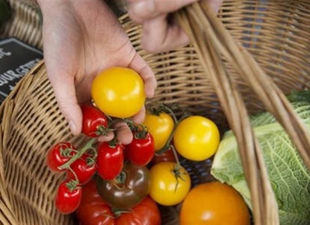 تورم مواد غذایی انگلیس رکورد ۱۵ ماه گذشته را زد