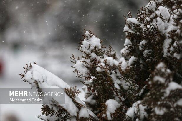 کاهش دما و بارش برف در خراسان رضوی