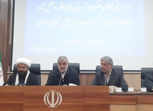 نیکزاد: اصلاح قوانین و تامین تسهیلات ویژه برای تولیدکنندگان ضروری است