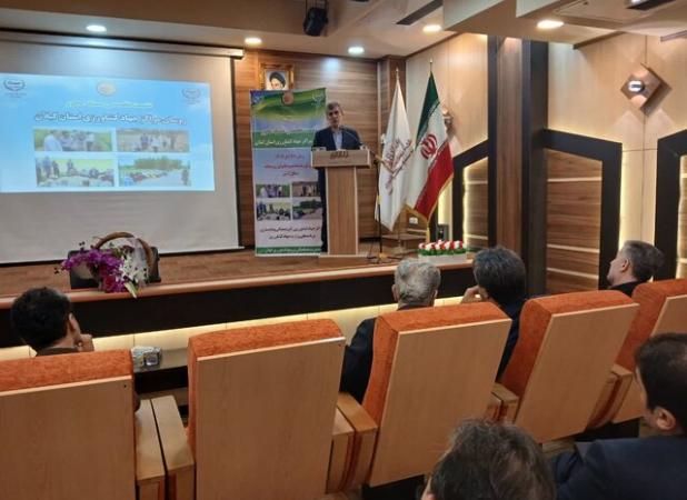 رئیس جهاد کشاورزی گیلان: اقتصادی‌شدن کشاورزی مانع تغییر کاربری اراضی است