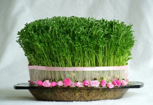 سیزده بدر روزی برای غبارروبی از زشتی ها