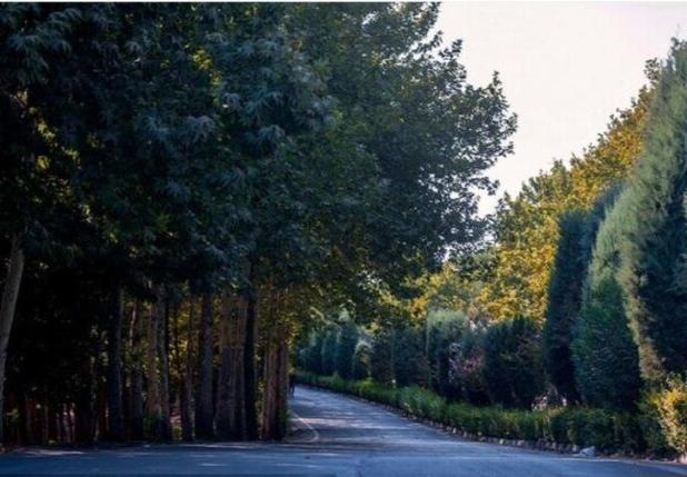 افتتاح فاز اول چهارباغ در تهران تا پایان بهار ۱۴۰۴