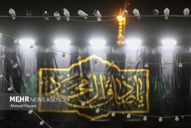 حضرت امام جعفر صادق (ع) از برجسته ترین دانشمندان اسلام است