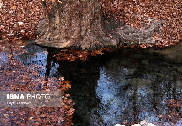 پایان هفته بارانی در انتظار گیلان