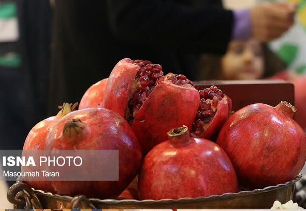 پویش «یلدای مهربان» در زنجان آغاز به کار کرد