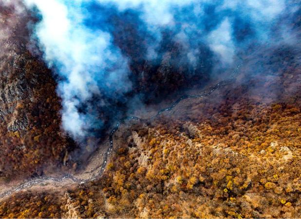 اعزام گسترده نیروی امدادی برای مهار آتش‌سوزی جنگل‌های دیزمار