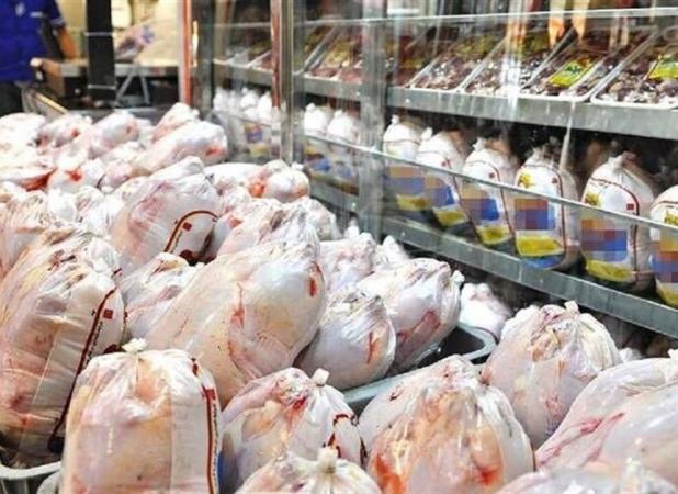 ۱۰۰ تن مرغ منجمد در استان بوشهر توزیع می شود