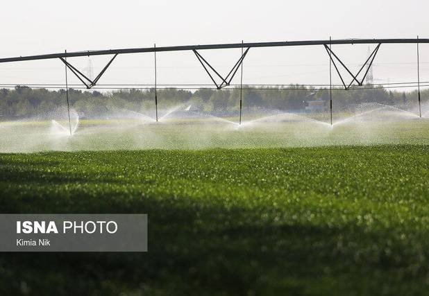 ایجاد اشتغال برای ۱۰۹۱ نفر در بخش کشاورزی گیلان