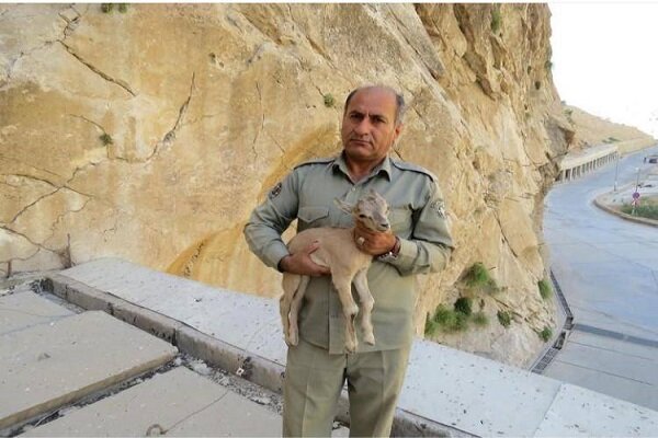 دومین قاتل شهید «دیده‌بان» دستگیر شد