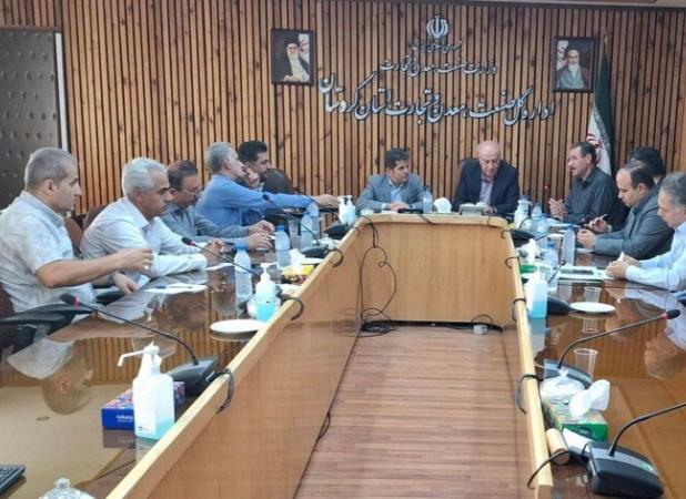 تشکیل خوشه فرش کردستان در مسیر تحقق زنجیره ارزش