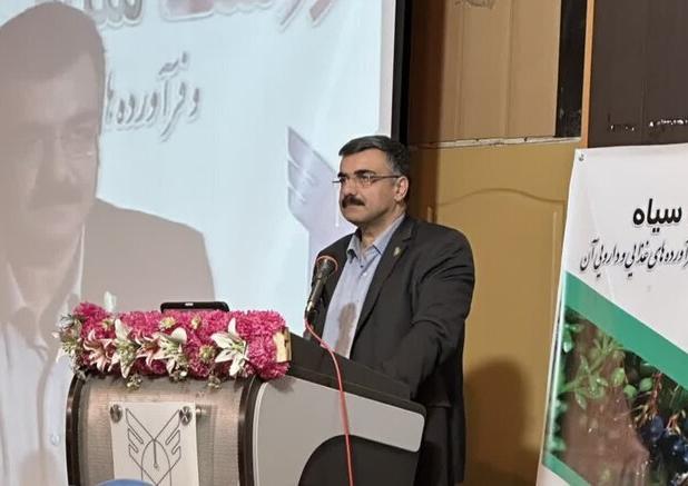 بایبوردی: اصلاح الگوی کشت بدون حرکت به‌سوی محصولات سازگار ممکن نیست