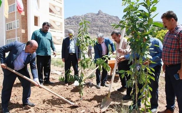 باغ مرکبات در سایت مرکزی دانشگاه لرستان احداث می‌شود