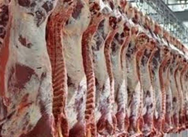 عرضه گوشت قرمز ۹ درصد کاهش یافت