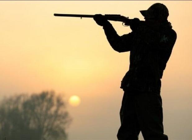 عاملان تیراندازی به محیط بانان در دیر دستگیر شدند