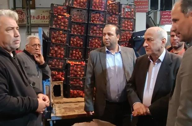 قیمت گوجه فرنگی تا آخر هفته به تعادل می‌رسد
