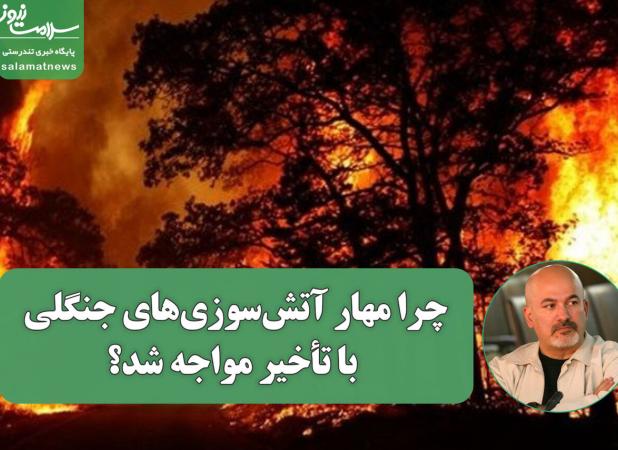 چرا مهار آتش‌سوزی‌های جنگلی با تأخیر مواجه شد؟