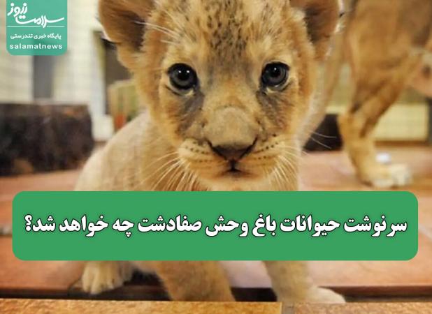 سرنوشت حیوانات باغ وحش صفادشت چه خواهد شد؟