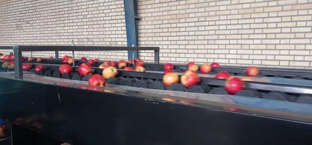 افتتاح سردخانه ۲۰۰۰ تنی و ۲ واحد سورتینگ بسته‌بندی میوه در اشنویه