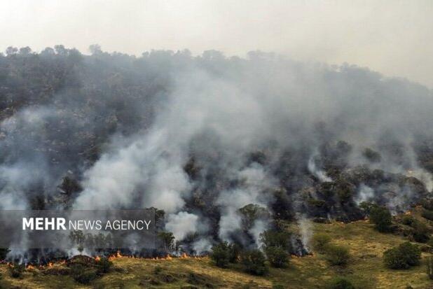 تلاش برای مهار و خاموش کردن آتش سوزی «مله پنجاب» ایلام
