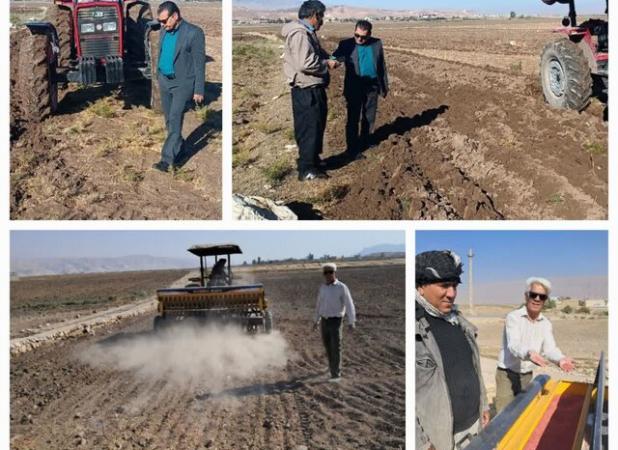 آغاز کشت گندم در دره‌شهر