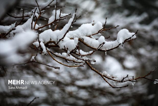 آغاز بارش برف در نیشابور