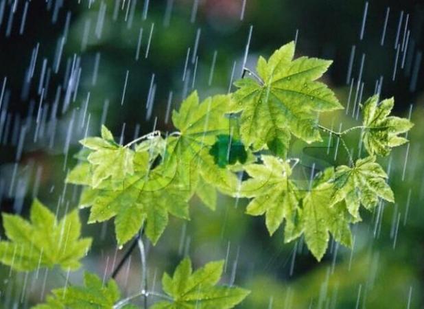رگبار باران و رعدو برق در خراسان رضوی؛کیفیت هوای مشهد کاهش می یابد