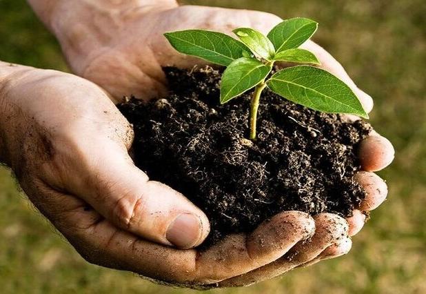 خاک‌های شهری زیر فشار شهرنشینی