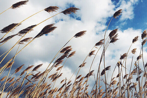 پیش بینی افزایش ابر و وزش باد در آذربایجان غربی