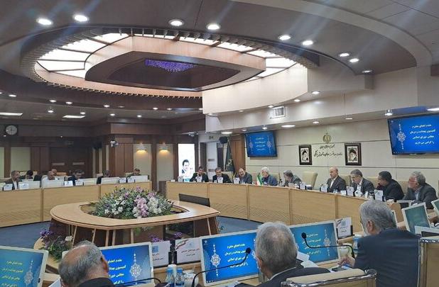 نشست اعضای کمیسیون بهداشت با ظفرقندی برگزار شد