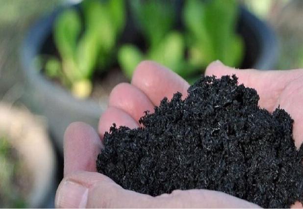 تبدیل ضایعات کشاورزی به زغال زیستی؛ گامی برای کاهش آلودگی و صرفه‌جویی در مصرف آب