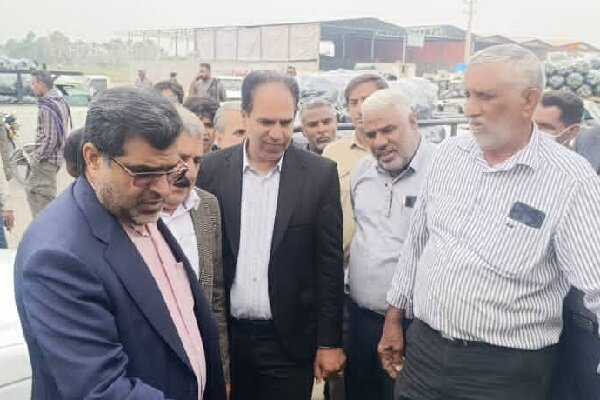 محسنی: کیفیت پایین بسته بندی محصولات کشاورزی موجب افت قیمت می‌شود