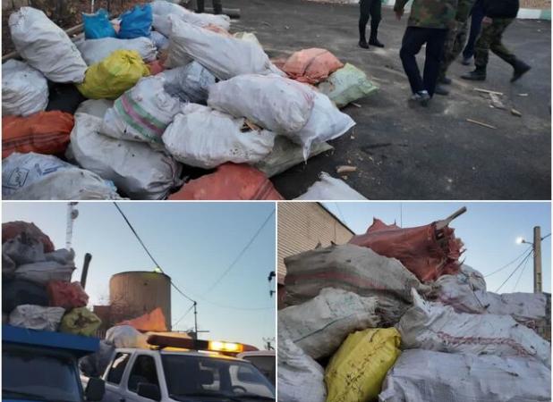 کشف و ضبط ۷ تن هیزم جنگلی در اردبیل